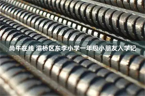 尚牛在线 灞桥区东李小学一年级小朋友入学记