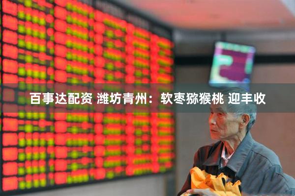 百事达配资 潍坊青州：软枣猕猴桃 迎丰收