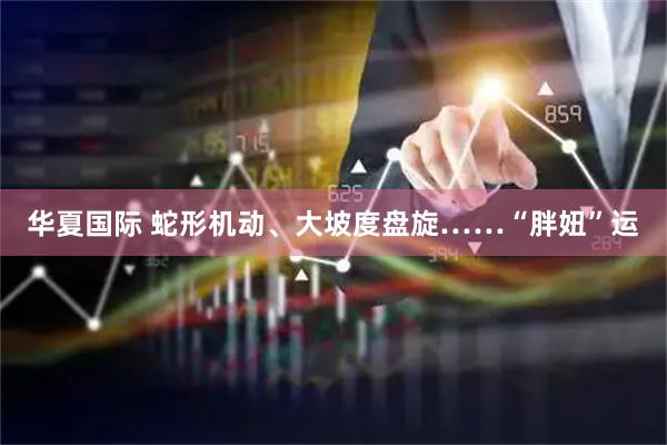 华夏国际 蛇形机动、大坡度盘旋……“胖妞”运