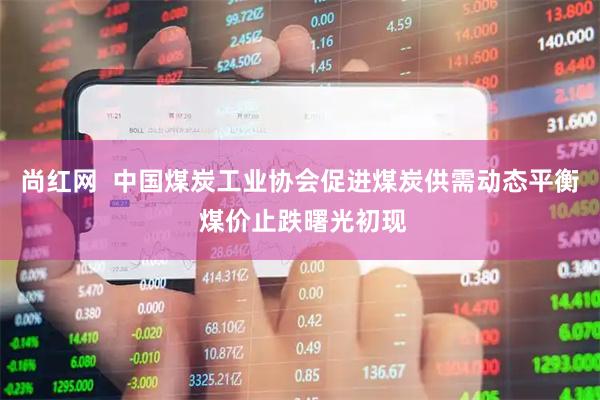 尚红网  中国煤炭工业协会促进煤炭供需动态平衡 煤价止跌曙光初现