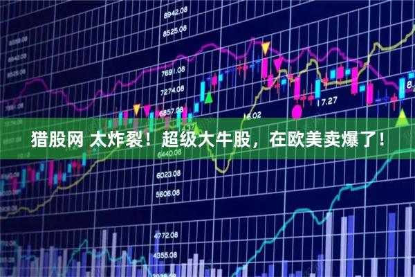 猎股网 太炸裂！超级大牛股，在欧美卖爆了！