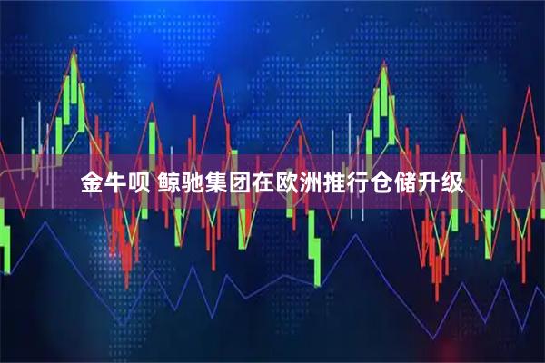 金牛呗 鲸驰集团在欧洲推行仓储升级