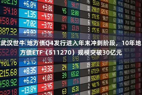 武汉世牛 地方债Q4发行进入年末冲刺阶段，10年地方债ETF（511270）规模突破30亿元