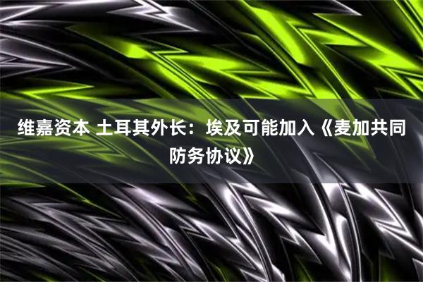 维嘉资本 土耳其外长:埃及可能加入《麦加共同防务协议》